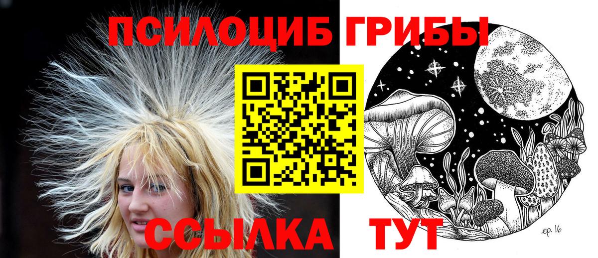 Псилоцибиновые грибы Psilocybe  Вход с VPN  Кировск  Галлюциногенные грибы прущие грибы 
